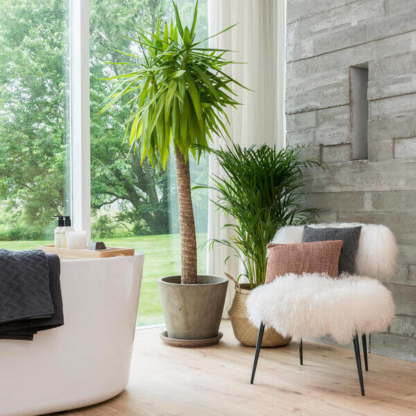 Panel laminowany Berry Alloc Canyon Natural Ocean 8 V4 62002466 AC4 8mm