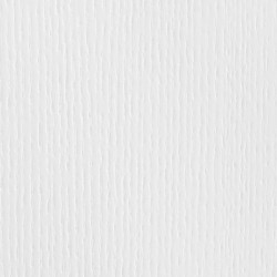 Biały Neutralny RAL 9016