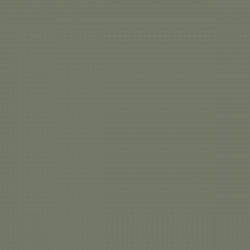Zielony Khaki RAL 6003