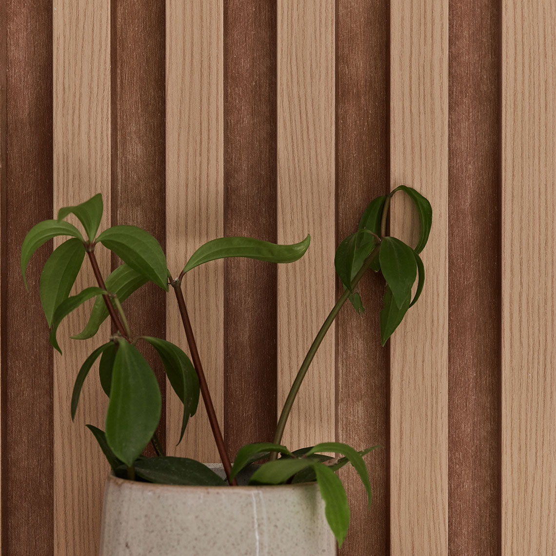 Lamele ścienne Linerio L-Line Natural 12,2 × 265 × 2,1 cm