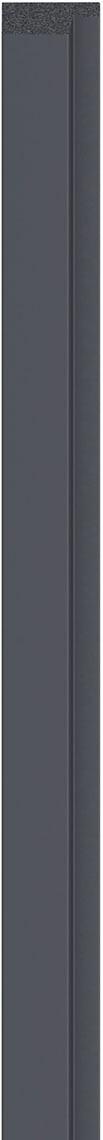 Listwa wykończeniowa lewa do lameli Linerio M-Line Anthracite