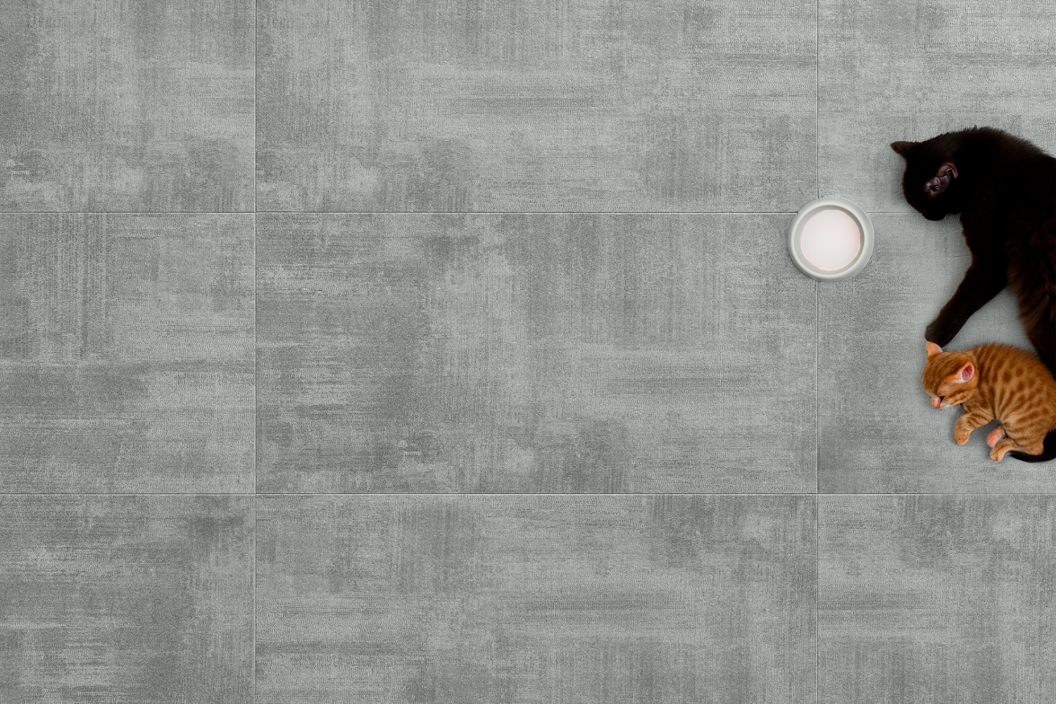 panel-winylowy-arbiton-amaron-forma-amadora-grey-5mm-45ae6d Panel winylowy Arbiton Amaron Forma Amadora Grey 5mm