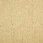 312 limba