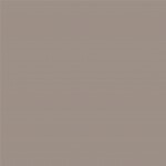 0MS NCS S 4005-Y50R mat