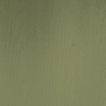 454 sage mat NCS s4010-G50Y