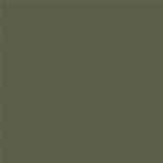 0NA RAL 6003 mat
